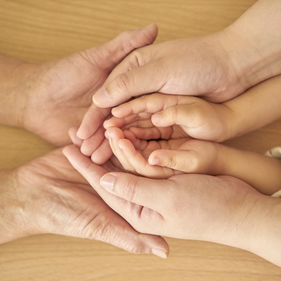 Livro de Lembranças. Queridos vovós